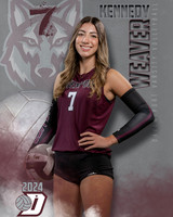 DHS_VAR_VB_IND1-52