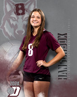 DHS_9th_VB_IND1-43