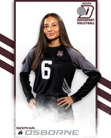 DHS_JV_VB_IND2-6