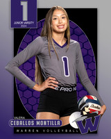 WHS_JV_VB_IND1-29