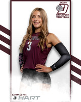 DHS_VAR_VB_IND2-3