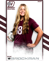 DHS_9th_VB_IND2-48