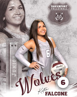 DHS_VB_Var_Ind2-6