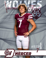 DHS_VAR_FB_IND1-8