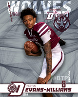 DHS_VAR_FB_IND1-135