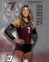 DHS_VAR_VB_IND1-22