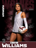 DHS_VB_Var_Ind1-47