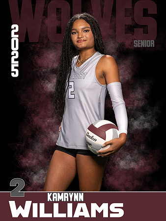 DHS_VB_Var_Ind1-47