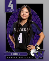 WHS_VAR_VB_IND1-4