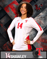 THS_JV_VB_IND2-12