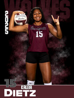 DHS_VB_JV_Ind1-78