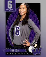 WHS_JV_VB_IND1-6