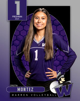 WHS_9th_VB_IND1-1