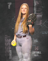 DHS_SB_V_Ind2-39