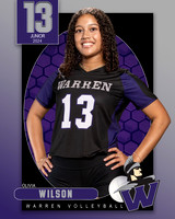 WHS_VAR_VB_IND1-13