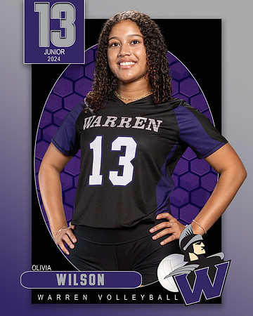 WHS_VAR_VB_IND1-13