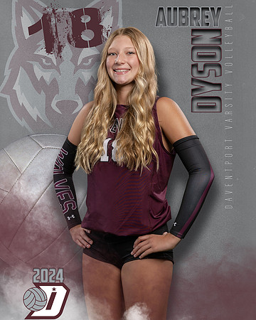DHS_VAR_VB_IND1-15