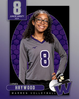 WHS_JV_VB_IND1-22