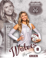 DHS_VB_Var_Ind2-8