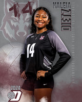 DHS_JV_VB_IND1-12