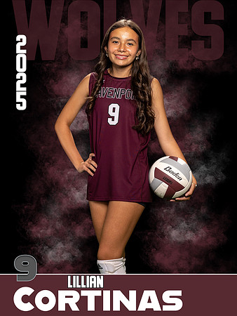 DHS_VB_JV_Ind1-57