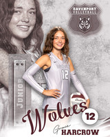 DHS_VB_Var_Ind2-12