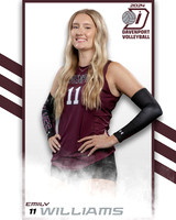 DHS_VAR_VB_IND2-11