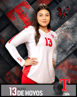 THS_JV_VB_IND2-27
