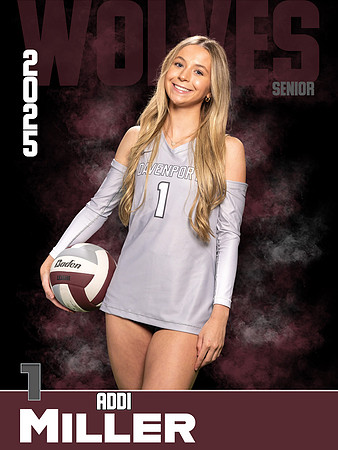 DHS_VB_Var_Ind1-46