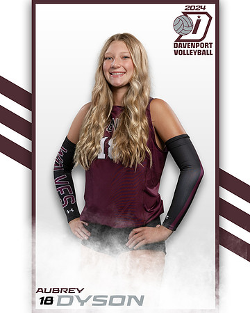 DHS_VAR_VB_IND2-15