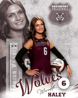 DHS_VB_JV_Ind2-6