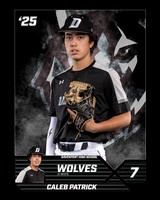 DHS_JVW_Ind1-7