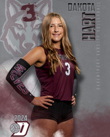 DHS_VAR_VB_IND1-18