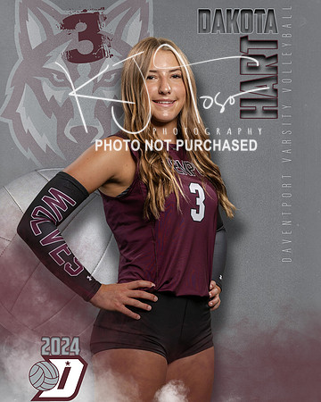 DHS_VAR_VB_IND1-18