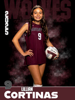 DHS_VB_JV_Ind1-41