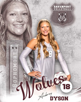 DHS_VB_Var_Ind2-15