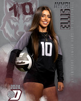 DHS_JV_VB_IND1-34
