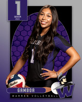 WHS_VAR_VB_IND1-52