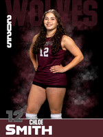 DHS_VB_JV_Ind1-60