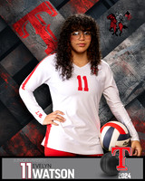 THS_JV_VB_IND2-41