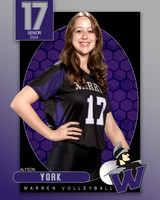 WHS_VAR_VB_IND1-51