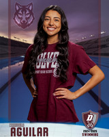 DHS_Swim_Ind-50