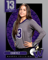 WHS_JV_VB_IND1-12