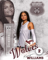 DHS_VB_Var_Ind2-17