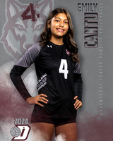DHS_JV_VB_IND1-16