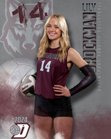 DHS_VAR_VB_IND1-59