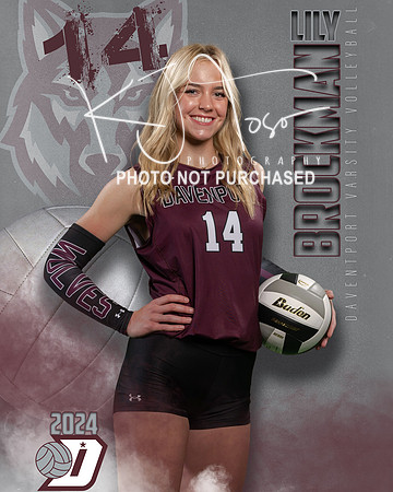 DHS_VAR_VB_IND1-44