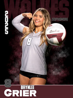 DHS_VB_Var_Ind1-83