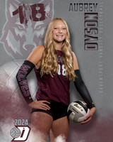 DHS_VAR_VB_IND1-45