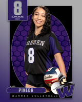 WHS_VAR_VB_IND1-59